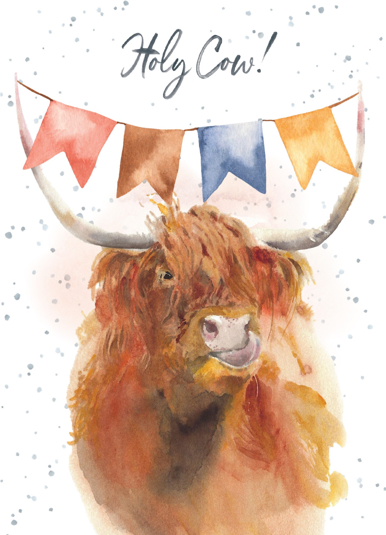 Holy Cow Birthday